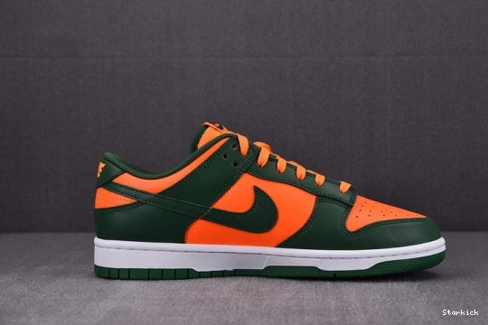 Low Miami Nike Dunk Hurricanes DD1391-300 0118